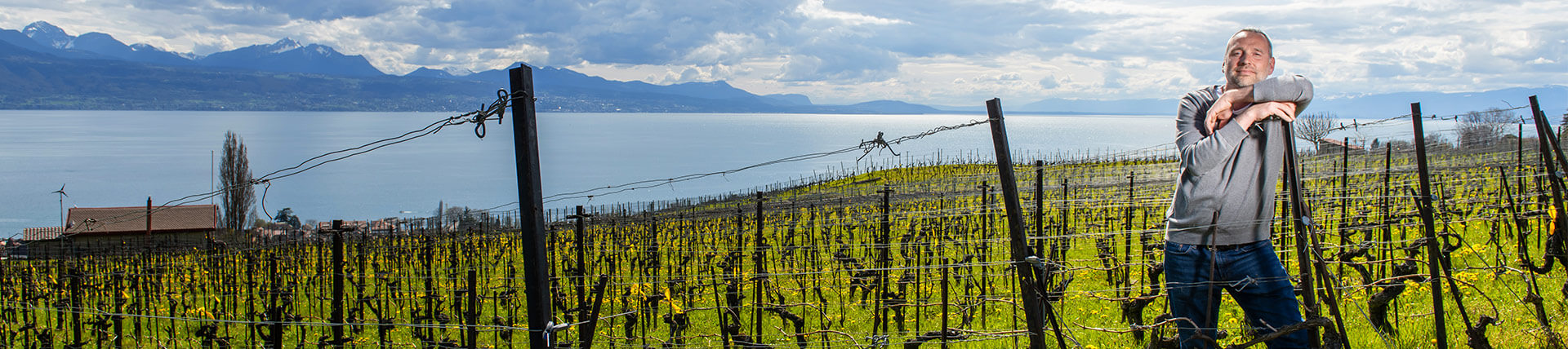 paschoud-vignes-1920-428